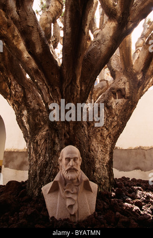 Dragon-Tree à Mairie de Galdar, Gran Canaria, Îles Canaries, Espagne Banque D'Images