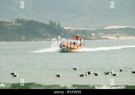 L'observation des baleines en bateau flex Garopaba, Santa Catarina, Brésil du Sud Banque D'Images