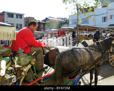 Le cheval Phaetons, princes de l'île de Büyükada, près de Istanbul, Turquie Banque D'Images