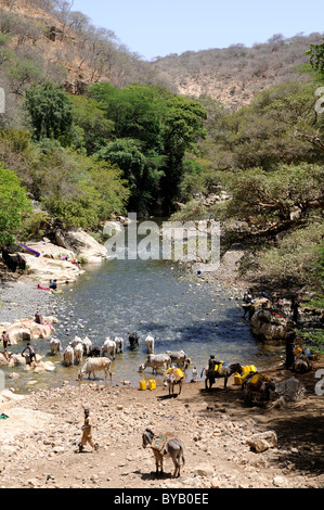 Entrée de Sof Omar, le plus grand système de grottes en Afrique, Ethiopie, Afrique Banque D'Images