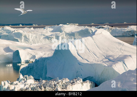 Les icebergs du glacier Jacobshavn au Groenland qui recule rapidement en raison des changements climatiques. Banque D'Images