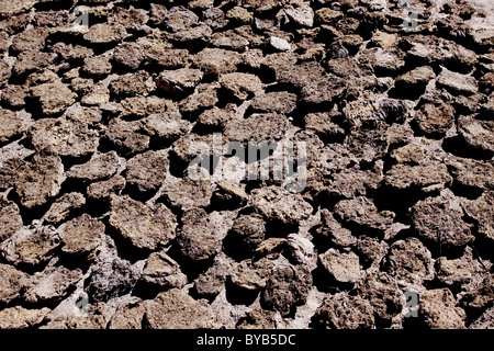 Les crottes de Yak énoncés à sec, utilisé comme combustible dans des régions du Népal, parc national de Sagarmatha, Khumbu, Népal, Asie Banque D'Images