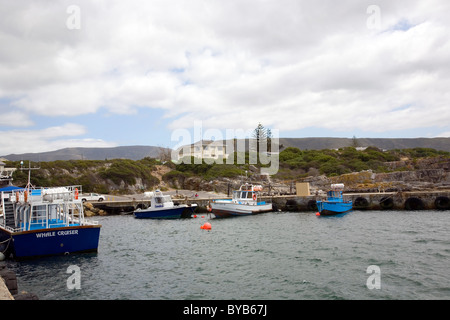 Hermanus Harbour Banque D'Images