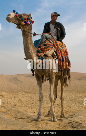 Camel rider à pyramides de Gizeh, Giza, Egypte, Afrique Banque D'Images