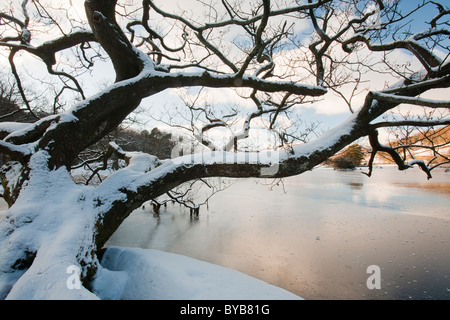 Rydal Water dans le district du lac complètement gelés durant l'Décembre 2010 Big Chill. Banque D'Images