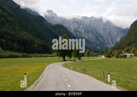 Route de campagne à travers une vallée de Logarska, Slovénie, Europe, Banque D'Images