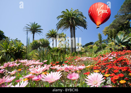 Les jardins de l'abbaye de Tresco, l'une des îles Scilly, au large de South West Cornwall, UK, avec un ballon à air chaud. Banque D'Images