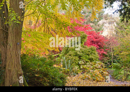 L'automne dans les Cotswolds au Batsford Arboretum, Parc Batsford, Gloucestershire Banque D'Images