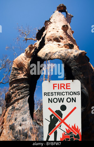 Forêt détruite par les feux de brousse près de Michelago, New South Wales, en Australie, en décembre 2009. Banque D'Images