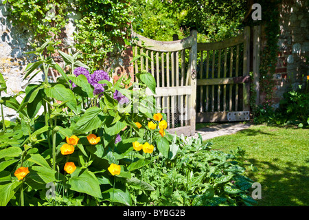 Ouvrir une porte de jardin en bois dans un jardin de campagne anglaise en été avec des coquelicots de Californie et allium violet au premier plan. Banque D'Images