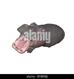 Illustration d'un hippo isolé sur fond blanc Banque D'Images