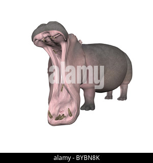 Illustration d'un hippo isolé sur fond blanc Banque D'Images