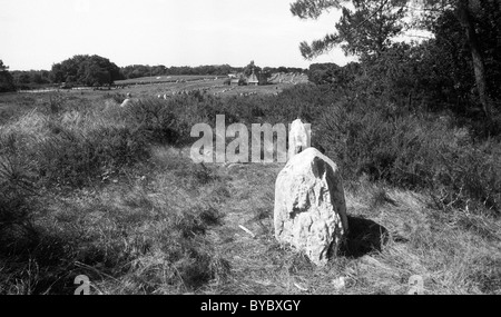 - Les roches mégalithiques menhirs sur le paysage, Carnac, Bretagne, Bretagne, France Banque D'Images