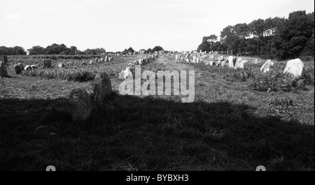 - Les roches mégalithiques menhirs sur le paysage, Carnac, Bretagne, Bretagne, France Banque D'Images