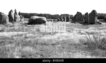 - Les roches mégalithiques menhirs sur le paysage, Carnac, Bretagne, Bretagne, France Banque D'Images