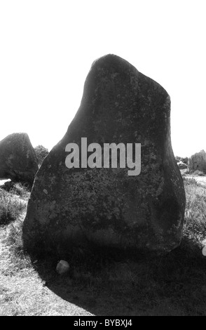 - Les roches mégalithiques menhirs sur le paysage, Carnac, Bretagne, Bretagne, France Banque D'Images