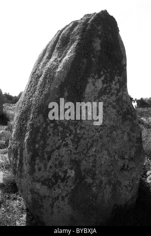 - Les roches mégalithiques menhirs sur le paysage, Carnac, Bretagne, Bretagne, France Banque D'Images