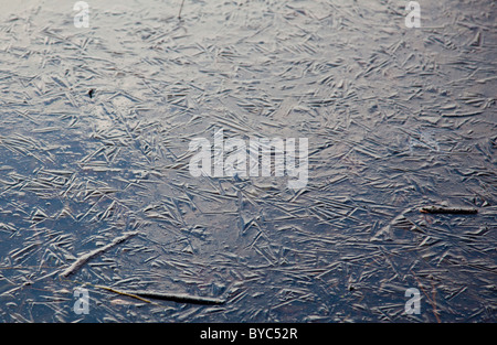 La glace sur le lac gelé avec de petites brindilles dans la surface et des fissures et des formes Banque D'Images