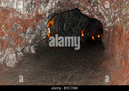 Tube de lave Thurston Hawaii Volcanoes National Park Océan Pacifique Kilauea lave Banque D'Images