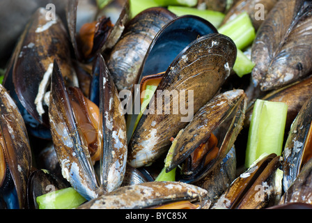 Partie de style belge, moules à la vapeur avec des légumes Banque D'Images