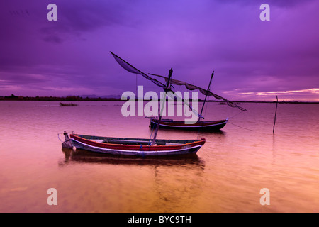 Vieux bateaux traditionnels dans 'La Albufera' lake (Valencia, Espagne) Banque D'Images