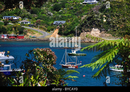 Vue sur le port, Oban, île Stewart (Rakiura), région du Sud, Nouvelle-Zélande Banque D'Images