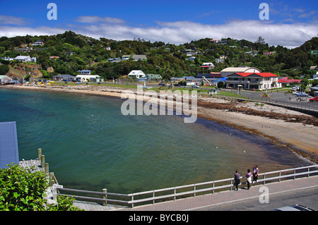 Vue sur la ville et le port, Oban, île Stewart (Rakiura), région du Sud, Nouvelle-Zélande Banque D'Images