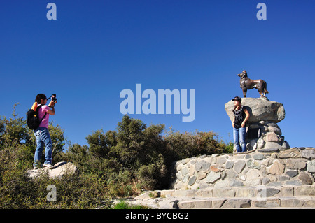 La NOUVELLE ZELANDE Collie sheepdog statue, Lake Tekapo, District de Mackenzie, Canterbury, île du Sud, Nouvelle-Zélande Banque D'Images