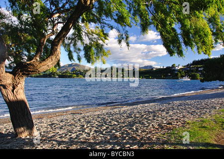 Tôt le matin sur le lac de Wanaka, Wanaka, Région de l'Otago, île du Sud, Nouvelle-Zélande Banque D'Images