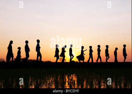 Filles et garçons indiens Silhouette marcher à la maison de l'école à travers un champ de riz au coucher du soleil. L'Andhra Pradesh, Inde Banque D'Images