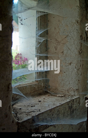 Fenêtre d'une vieille maison couverte de toiles d'araignée Banque D'Images