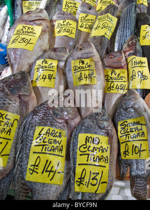 Le marché aux poissons de Billingsgate compteur, Londres UK Banque D'Images