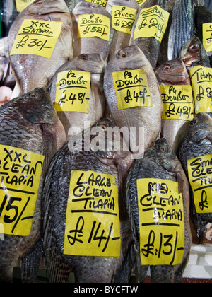 Le marché aux poissons de Billingsgate compteur, Londres UK Banque D'Images