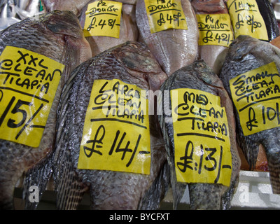 Le marché aux poissons de Billingsgate compteur, Londres UK Banque D'Images