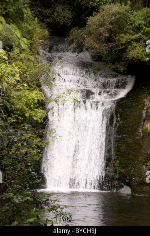 Bridal Veil Falls sont une des principales attractions de Te Urewera National Park en Nouvelle-Zélande Wasserfälle dans États-unis : Banque D'Images