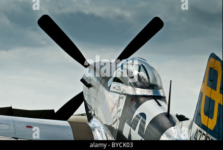 North American Aviation P-51 Mustang stationné sous un ciel Moody. Banque D'Images