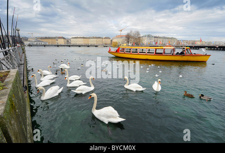 Un ferry jaune sur le front de mer de la ville de Genève, sur le lac de Genève en Suisse. Banque D'Images