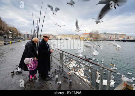 Un homme de la famille et de l'alimentation des oiseaux au bord du lac à Genève. Banque D'Images