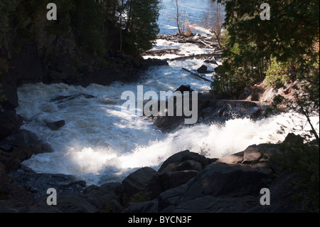 Ragged Falls sur la rivière Oxtongue, Algonquin Park, Canada Banque D'Images