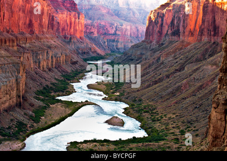 Vue sur le fleuve Colorado à partir de l'intérieur de la piste, Nankoweap Grand Canyon Banque D'Images