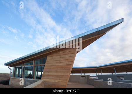 Nouveau masque, RSPB Titchwell Parrinder, Norfolk, UK, hiver Banque D'Images