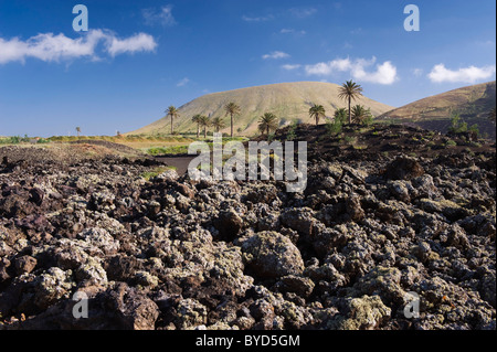 Paysage volcanique près de Uga, Lanzarote, Canary Islands, Spain, Europe Banque D'Images