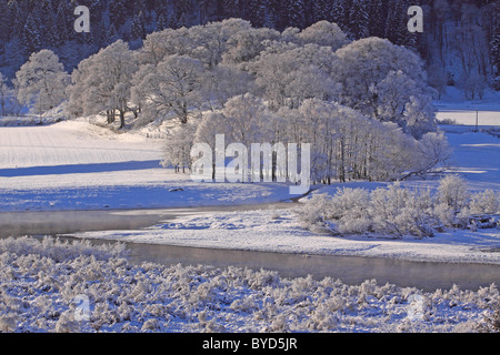 UK Ecosse Perthshire Tayside Rivière Tay et Tay Valley Banque D'Images