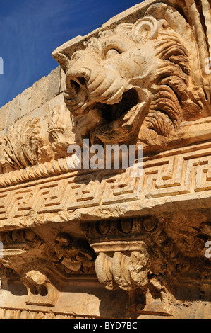 Gargouille en forme de tête de lion sur le site archéologique de Baalbek, Site du patrimoine mondial de l'UNESCO, vallée de la Bekaa, au Liban Banque D'Images