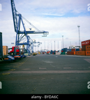 Grues et containers port de Felixstowe docks Suffolk Angleterre Banque D'Images