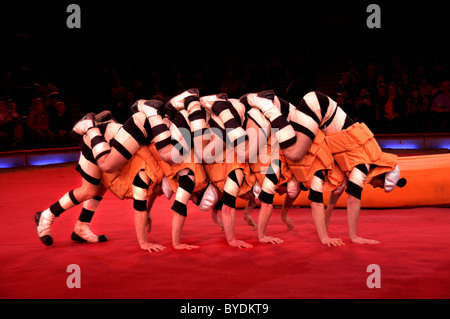 La troupe de cirque acrobatique, la Troupe Mayorov, Cirque Krone, Munich, Bavaria, Germany, Europe Banque D'Images