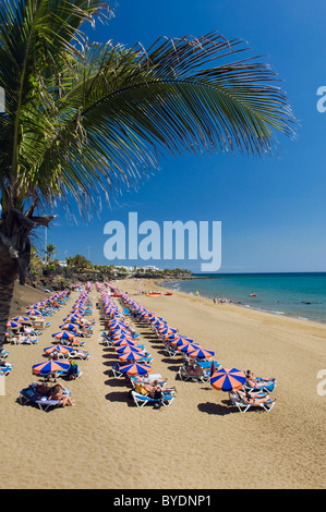 Parasols sur la plage de sable, la Playa Grande, à Puerto del Carmen, Lanzarote, Canary Islands, Spain, Europe Banque D'Images