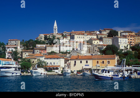 Bateaux de pêche dans le port de Vrsar, Istrie, Croatie, Europe Banque D'Images