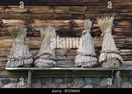 Kasubian région Heritage Park à Wdzydze Kiszewskie, Pologne. L'architecture en bois et de la culture et de Cachoubie Kociewie XVII Banque D'Images