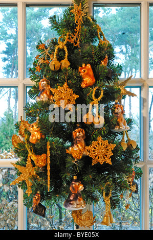 Sapin décoré de fête branche d'arbre en face d'une fenêtre en treillis, Villa & Ambiente, Nuremberg, Middle Franconia, Bavaria Banque D'Images